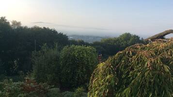 A garden with dense foliage and a view of a distant cityscape.