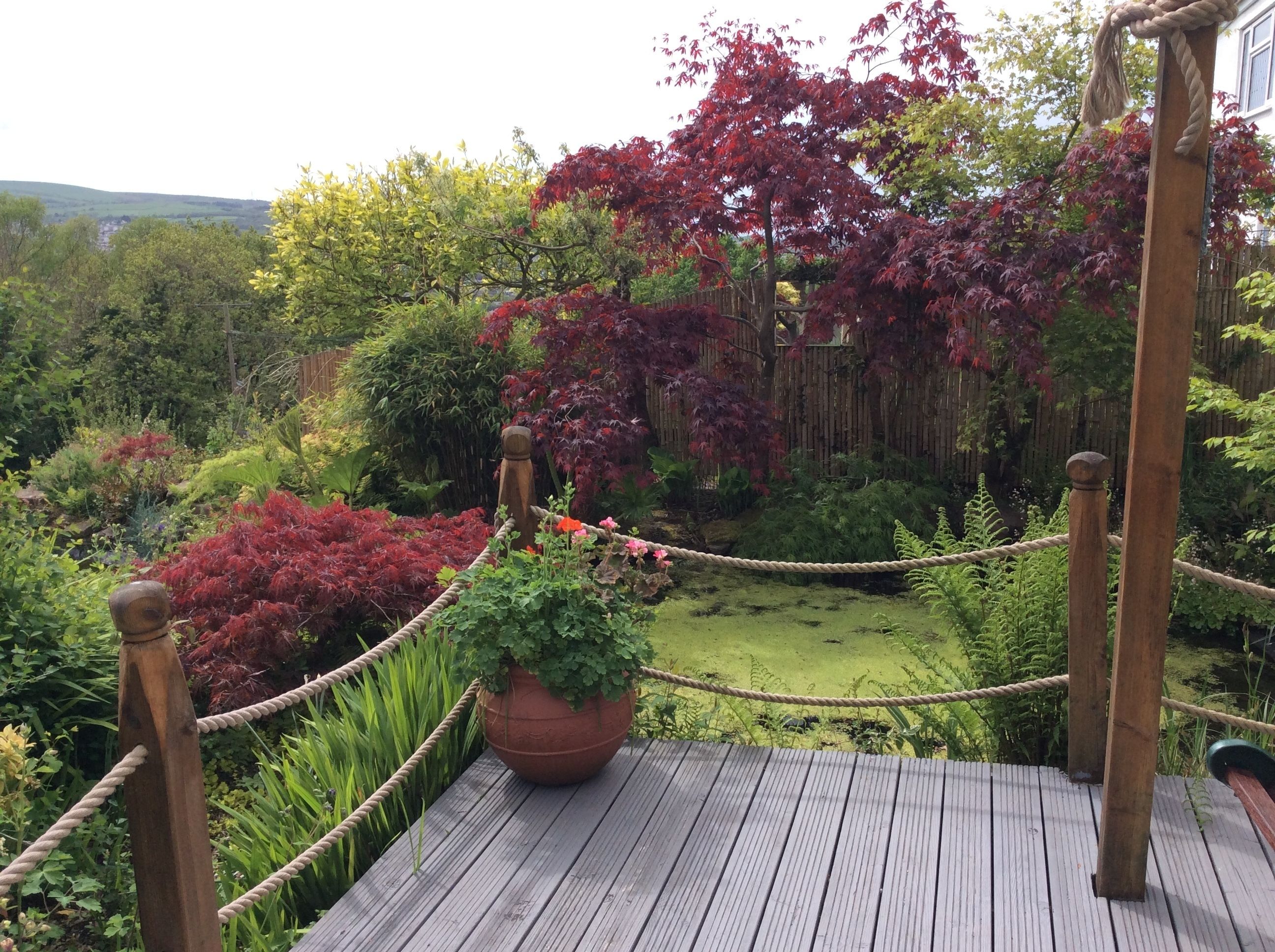 A wooden deck with a rope barrier, surrounded by lush greenery and a variety of plants.
