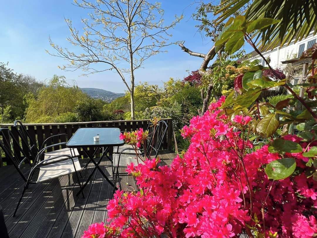 Un patio al aire libre con una mesa y sillas, rodeado de abundante vegetación y flores coloridas.