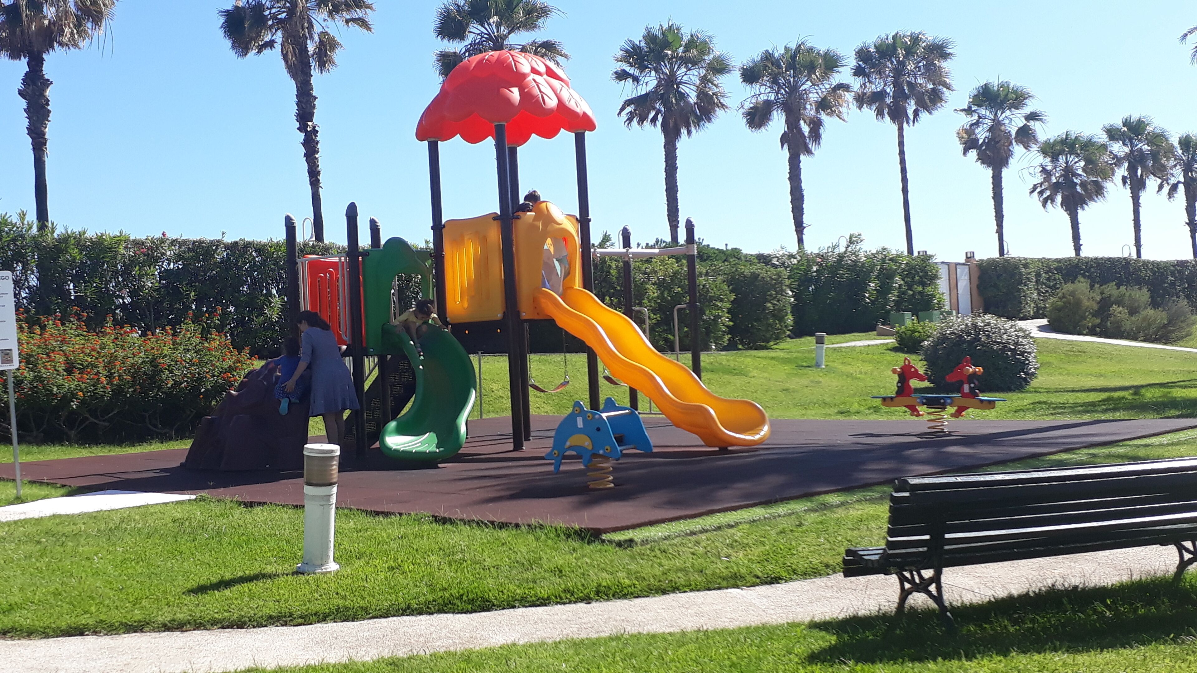 A playground with slides and climbing structures, surrounded by palm trees and a bench.