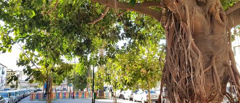 Overnatningsstedets område