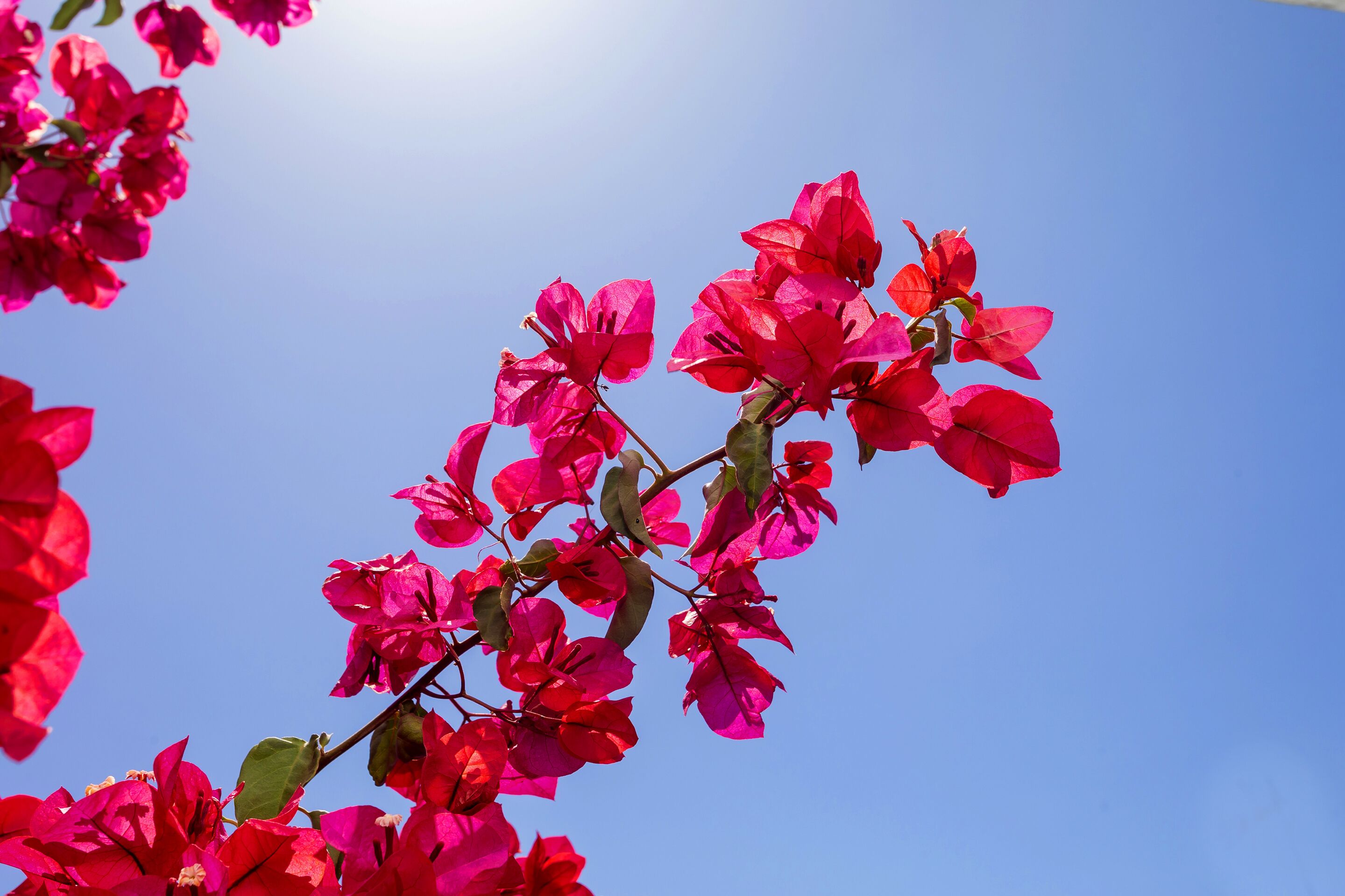 Photo - Hostal Manolita