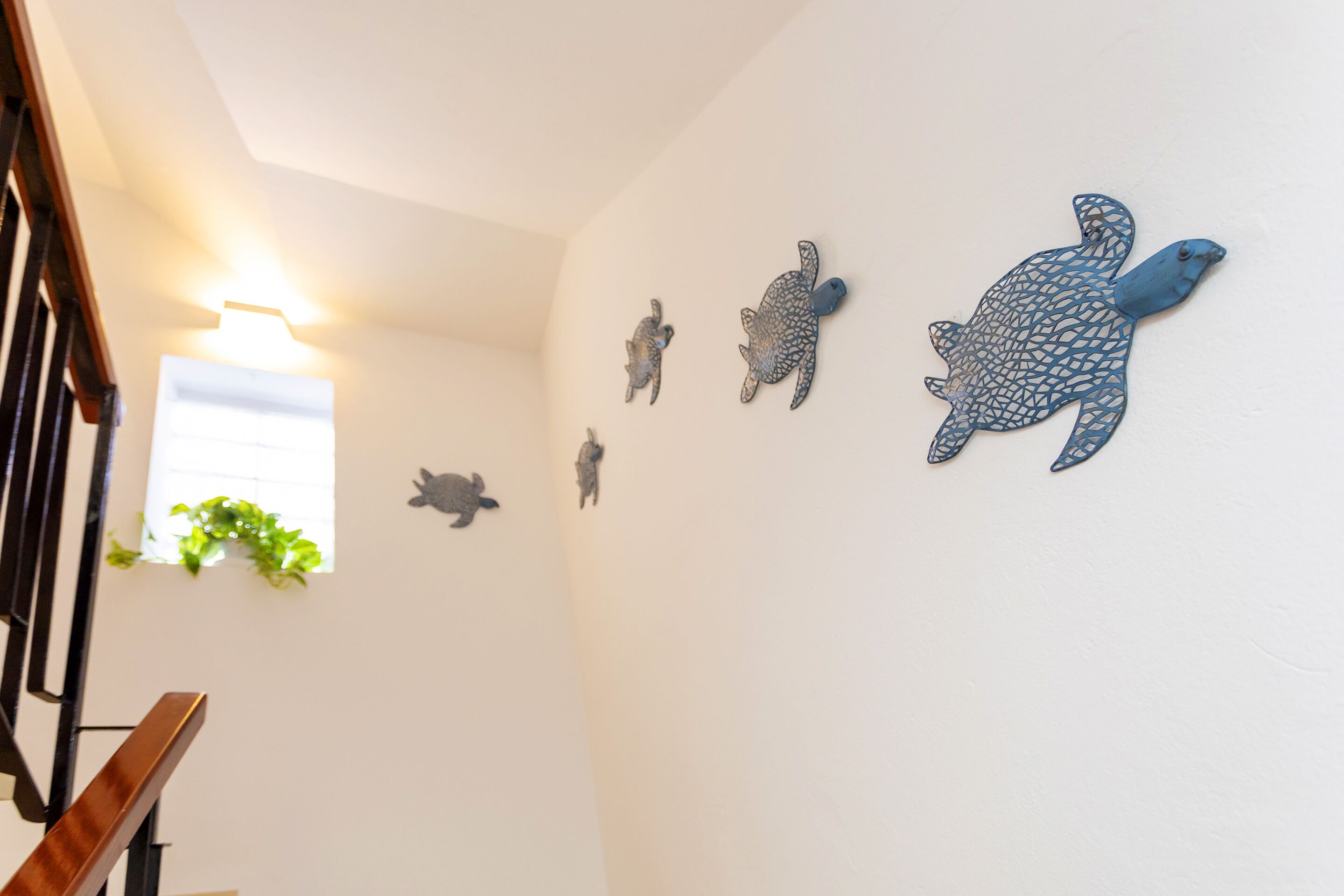 Photo - Hostal Manolita