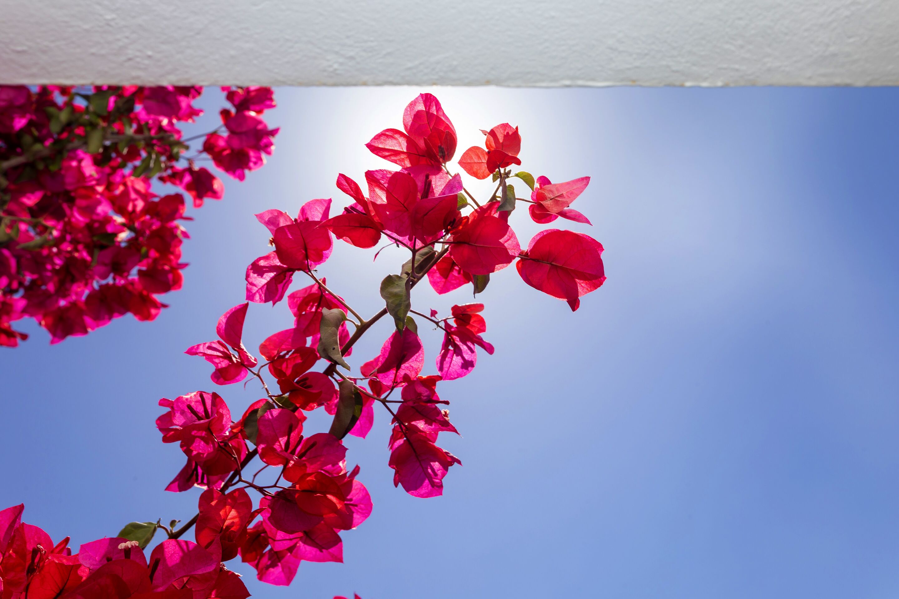 Photo - Hostal Manolita