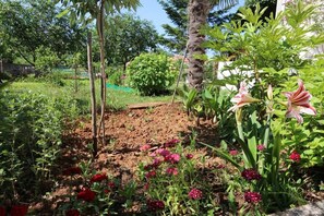 Um jardim com diversas plantas e flores, uma estrutura de madeira e uma palmeira.