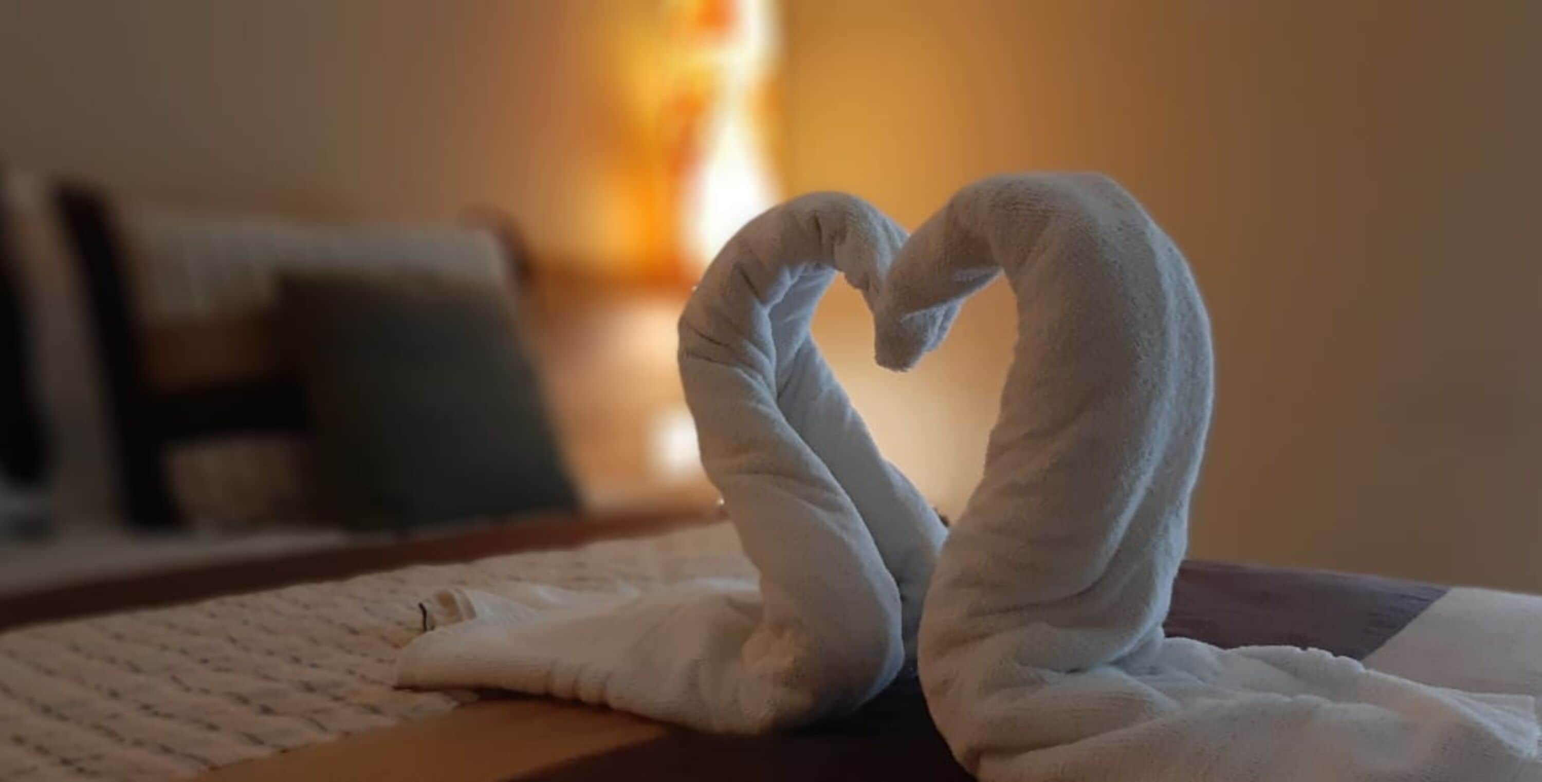 deluxe double room | blackout curtains, iron/ironing board, free wifi, bed sheets