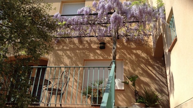A building with a stone staircase, a metal railing, and purple flowering trees.