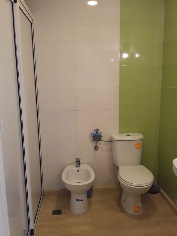 Departamento | Baño | Regadera, regadera tipo lluvia, toallas, papel de baño