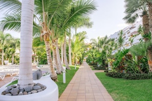 Vistas desde el alojamiento