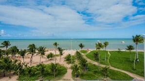 A beach with palm trees, a clear sky, and the ocean.