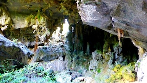 Una cueva con estalactitas y estalagmitas, formaciones rocosas naturales y algo de vegetación en la entrada.