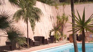 Une piscine entourée de palmiers et bordée d’un mur en béton.