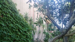 Un escalier en pierre mène à un jardin où l’on trouve différentes plantes et le tronc d’un arbre.
