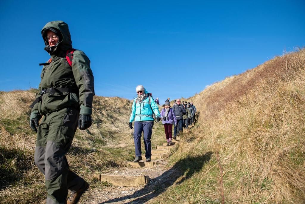 A group of people walking on a wooden pathway in a natural setting.