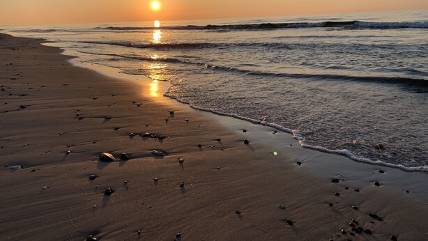 Une plage au coucher du soleil, avec le soleil bas à l’horizon, les vagues qui viennent doucement lécher le rivage, et des rochers et des coquillages éparpillés sur le sable.