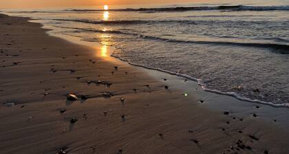 Idrætscenter Jammerbugt - Hostel