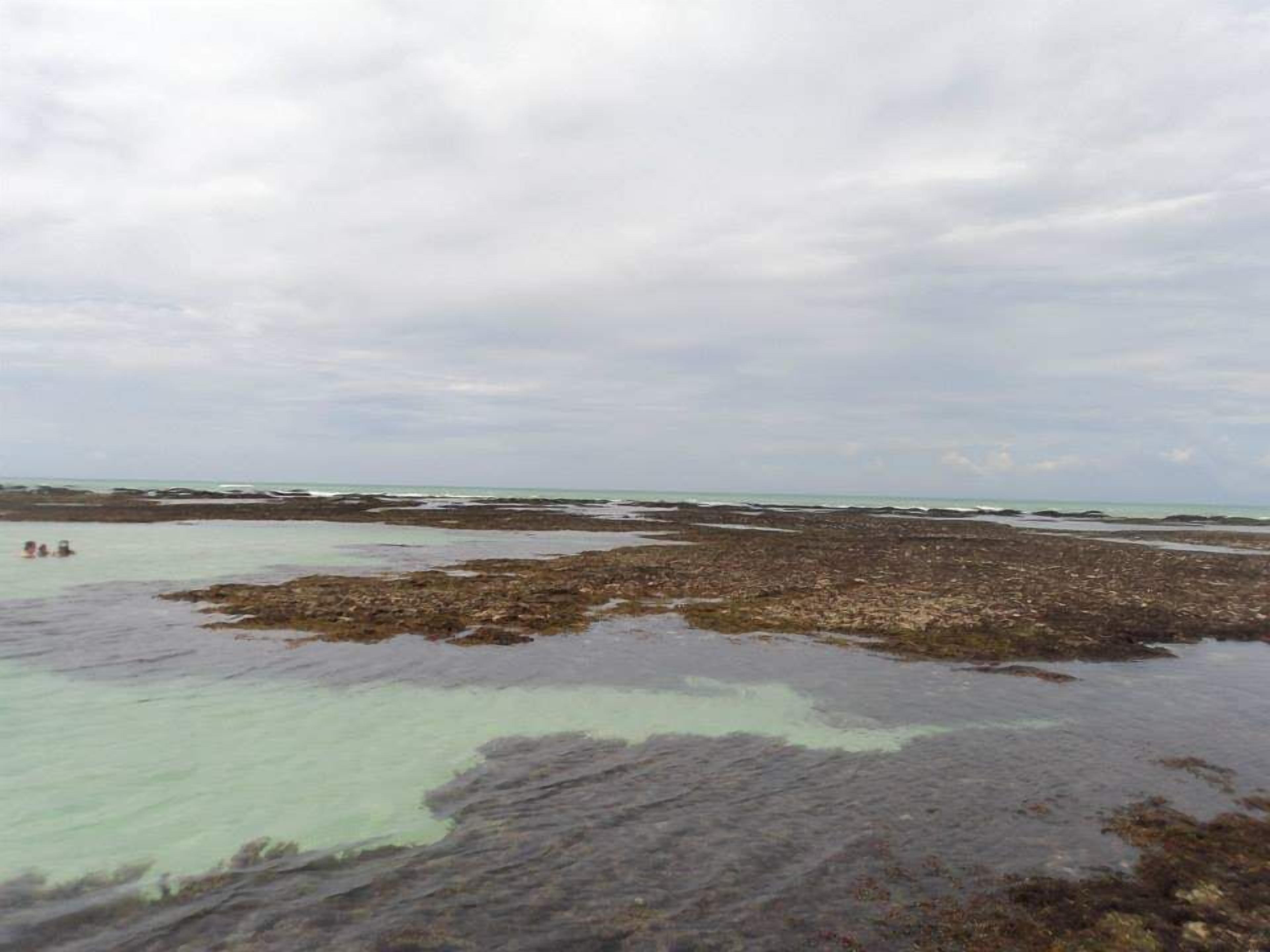 Perto da praia 