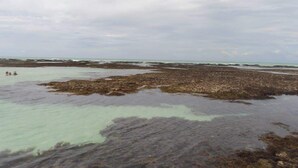 A rocky beach with calm waters and overcast skies. - Pousada Vale Encantado (São Miguel dos Milagres)