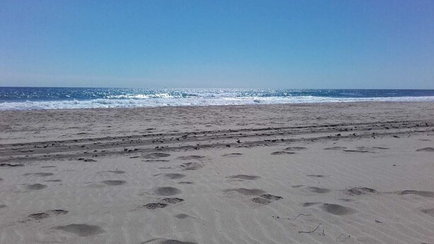 Una playa con huellas que conducen al agua, señalando un camino para visitantes.