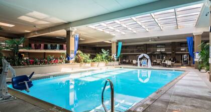 The Plaza Inn & Suites