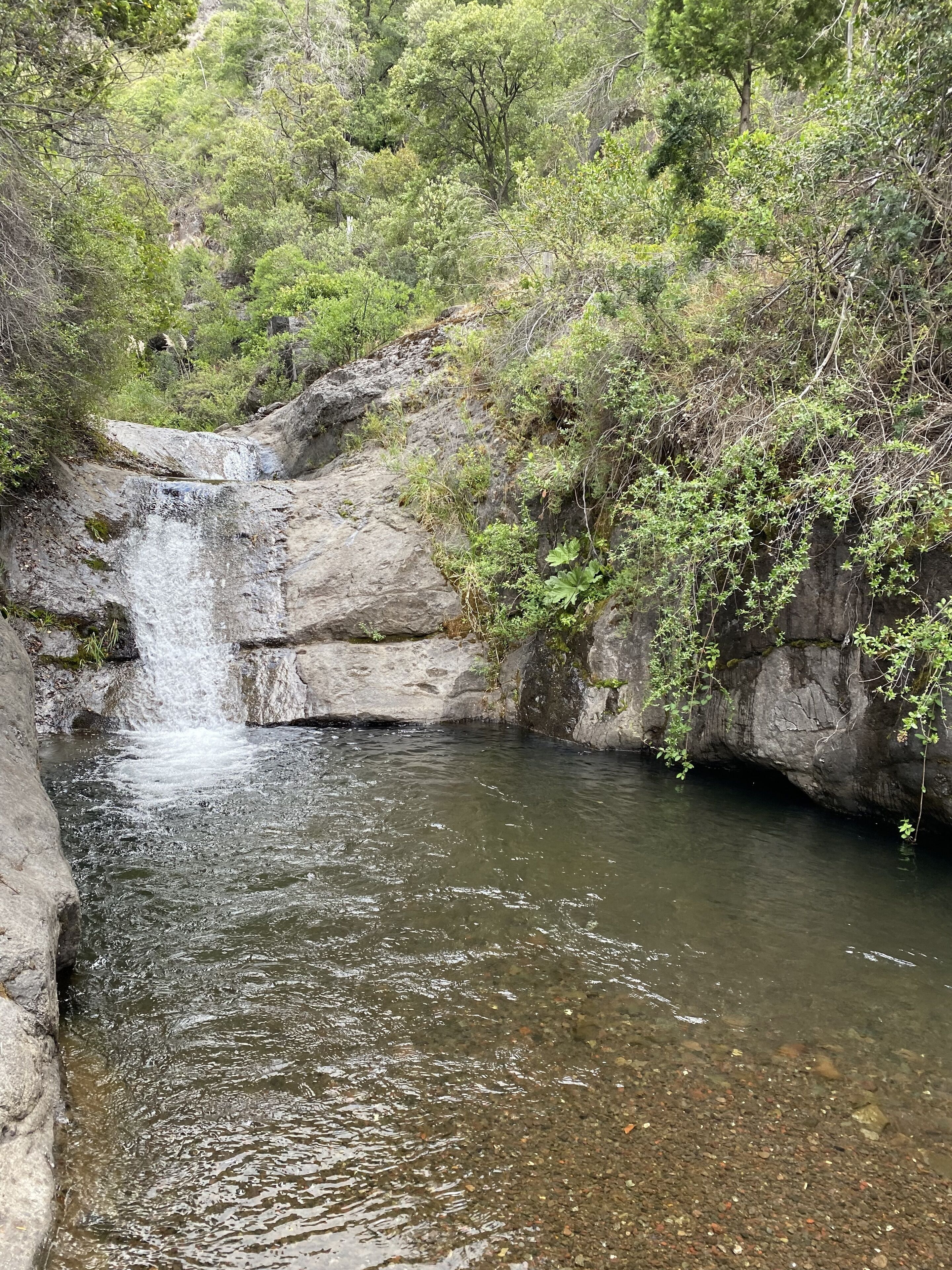 Un plan d’eau naturel, bordé de rochers et de végétation.