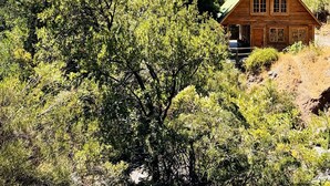 A wooden cabin with a gabled roof, surrounded by dense green shrubbery and mountains in the background.