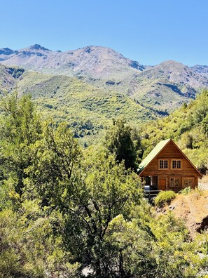 Chiquillanes | 2 多间卧室、羽绒被、Select Comfort 床、特色装修