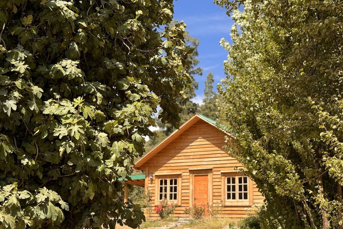 Une cabane en bois entourée d’une végétation luxuriante.