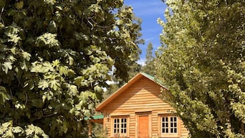 Kabin Comfort, 2 kamar tidur, hot tub, pemandangan gunung | 2 kamar tidur, selimut bulu angsa, dan tempat tidur Select Comfort