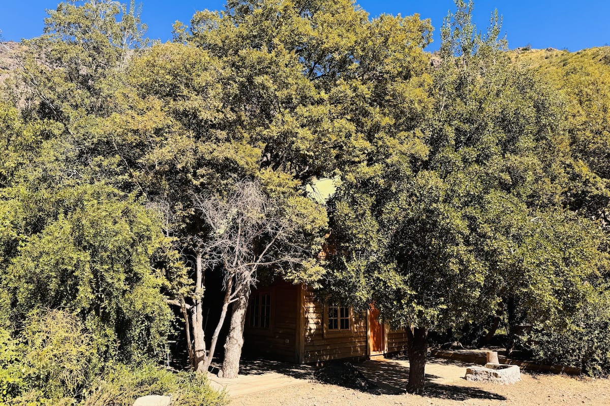 Un chalet rustique entouré d’une forêt dense.
