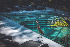Piscine extérieure