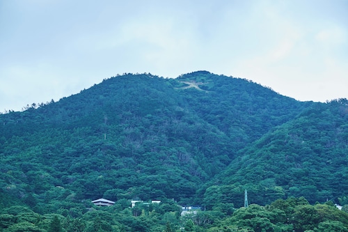 部屋からの景観