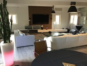 Televisión, chimenea, reproductor de DVD y libros 