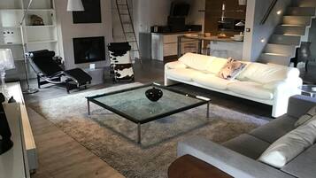 Télévision, cheminée, lecteur de DVD, livres