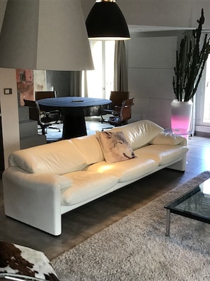 Télévision, cheminée, lecteur de DVD, livres