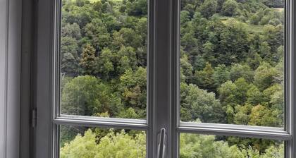 Charming 2 * apartment - 7 people - near Gourette