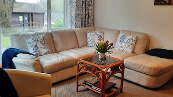 Smart TV, fireplace, DVD player, ping pong