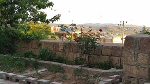 A stone wall with a bench and plants in a garden setting.