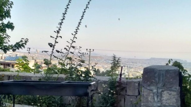 A rooftop garden with a view of a cityscape.