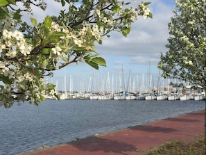 Marina