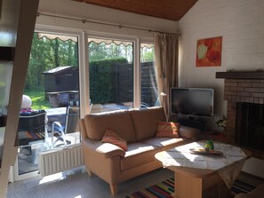 TV, fireplace, table tennis, books