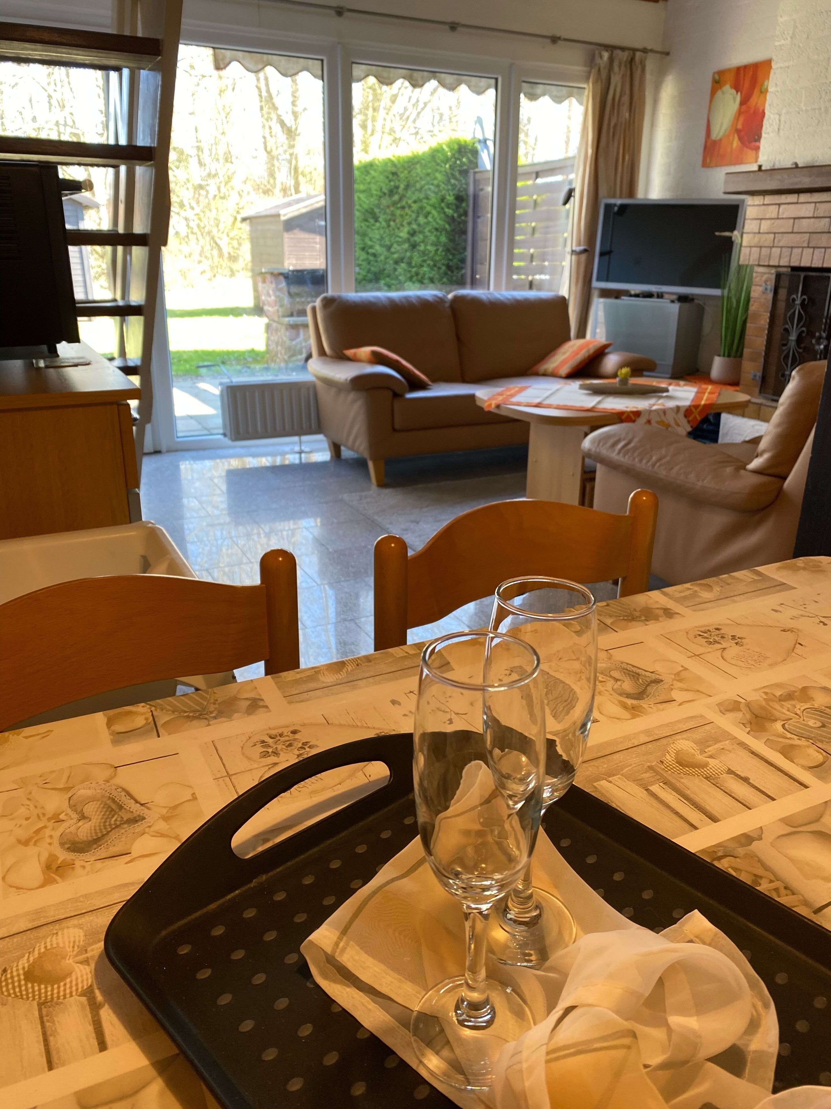 Televisión, chimenea, tenis de mesa y libros 