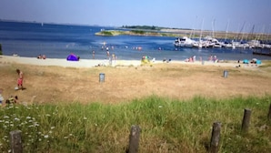 Une plage avec un rivage sablonneux, des zones herbeuses et un ciel bleu dégagé.