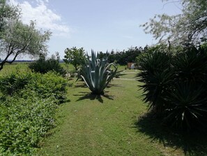 Parco della struttura