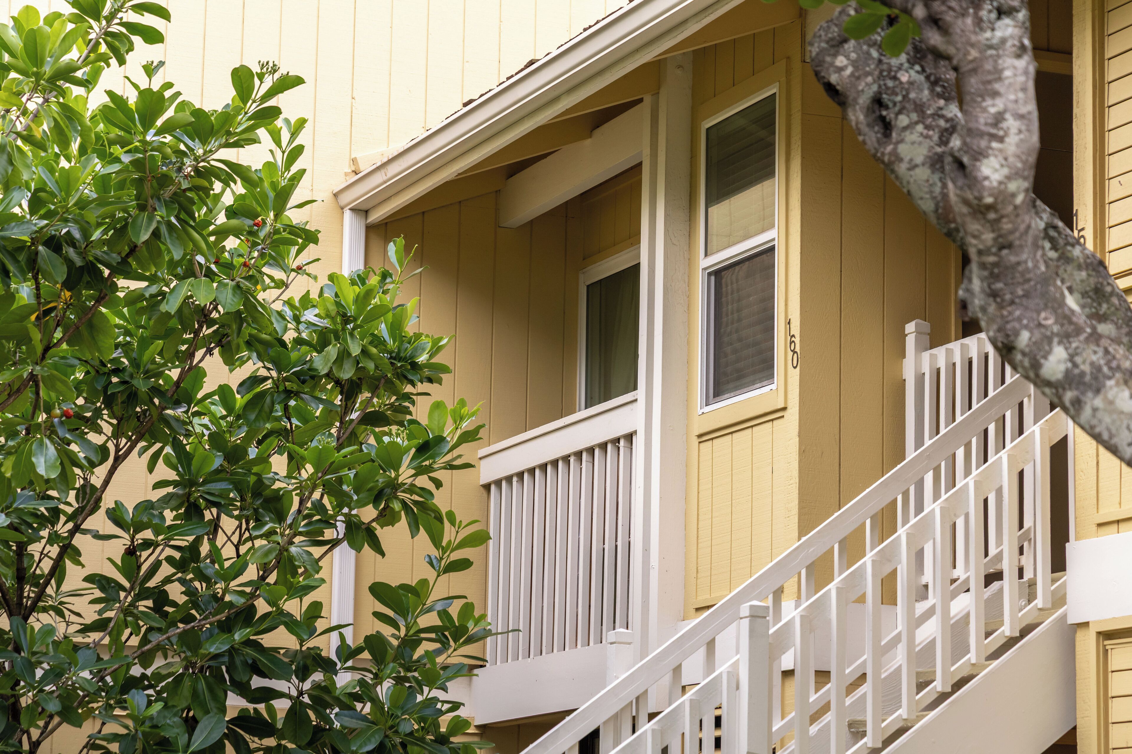 A yellow building with a white staircase and a tree in the foreground.