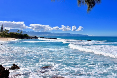 Toallas de playa . Turtle Bay Condo, 10 minute walk to beautiful beaches & so much more!