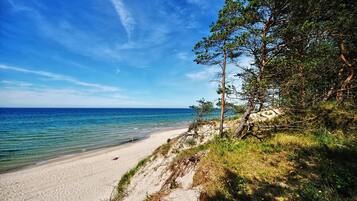 Plage, chaises longues