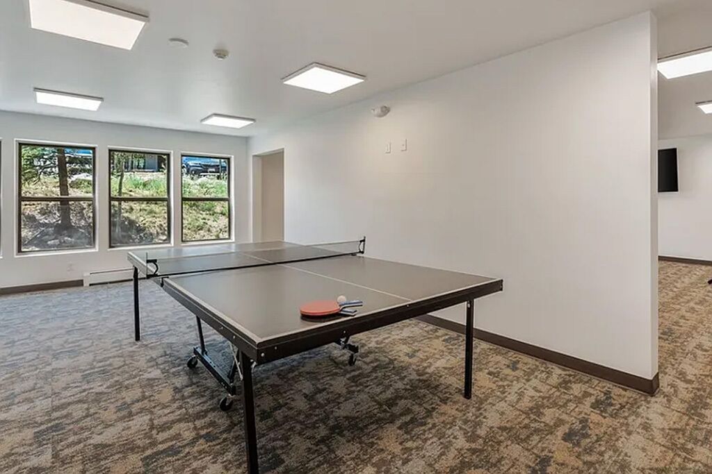 Ein Tischtennis-Tisch in einem Raum mit großen Fenstern, Teppichboden und weißen Wänden.
