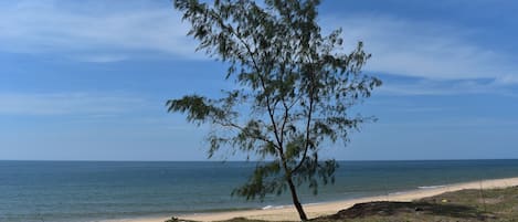 Vlak bij het strand, wit zand