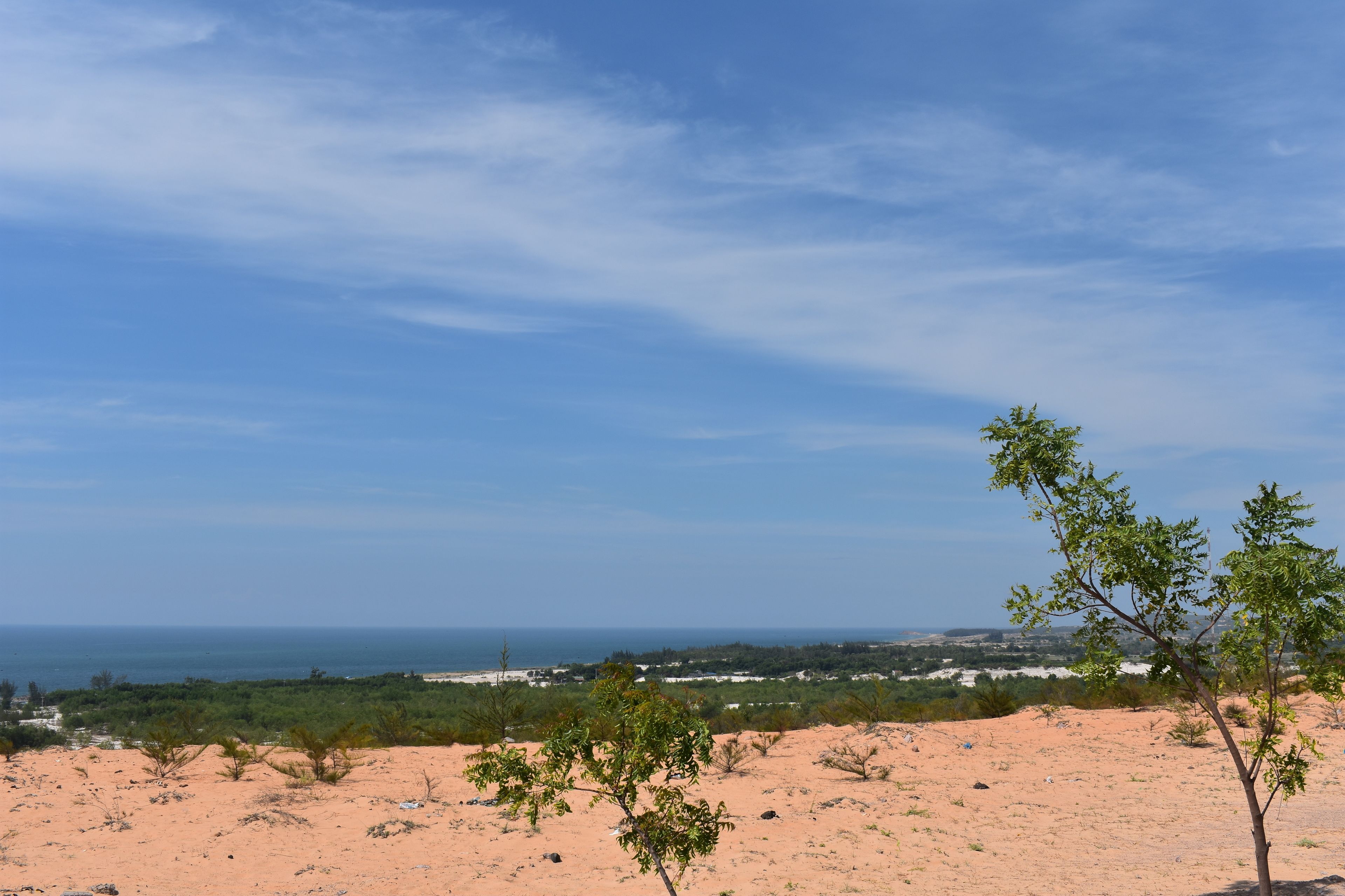 A desert landscape with sparse vegetation and a distant view of the ocean.
